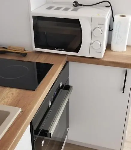 Apartment 2a Near Blloku Area